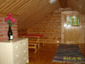 Mikko nr 31 B