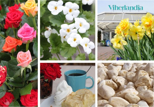 Viherlandia